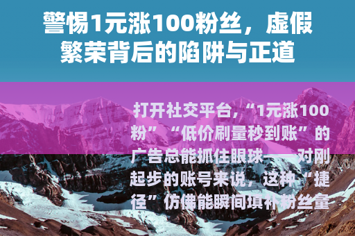 警惕1元涨100粉丝，虚假繁荣背后的陷阱与正道