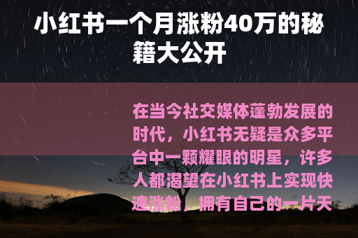 小红书一个月涨粉40万的秘籍大公开