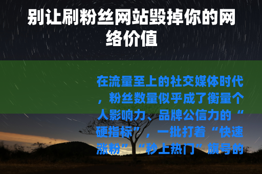 别让刷粉丝网站毁掉你的网络价值
