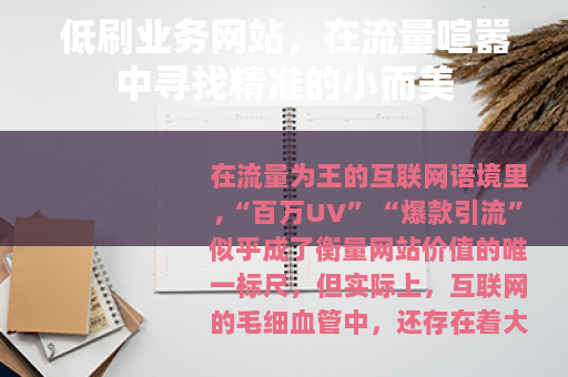 低刷业务网站，在流量喧嚣中寻找精准的小而美