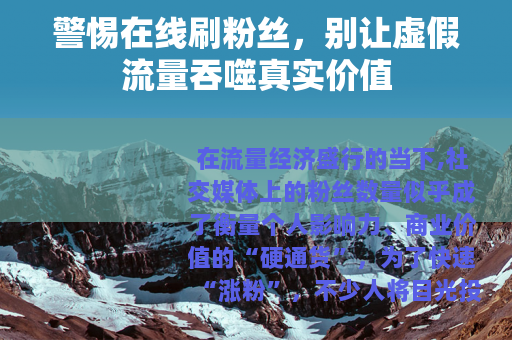 警惕在线刷粉丝，别让虚假流量吞噬真实价值