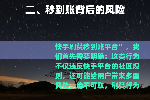 二、秒到账背后的风险