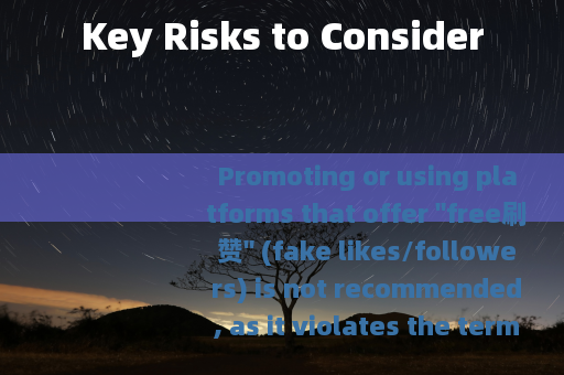 Key Risks to Consider