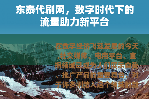 东泰代刷网，数字时代下的流量助力新平台