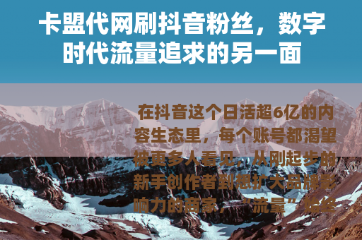 卡盟代网刷抖音粉丝，数字时代流量追求的另一面