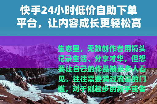 快手24小时低价自助下单平台，让内容成长更轻松高效