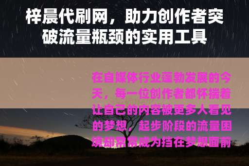 梓晨代刷网，助力创作者突破流量瓶颈的实用工具