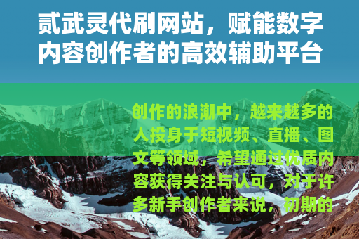 贰武灵代刷网站，赋能数字内容创作者的高效辅助平台