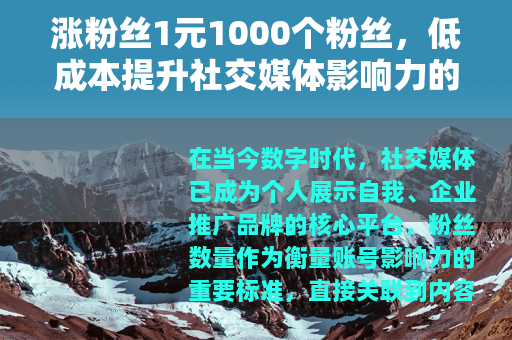 涨粉丝1元1000个粉丝，低成本提升社交媒体影响力的综合指南