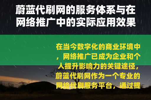 蔚蓝代刷网的服务体系与在网络推广中的实际应用效果分析
