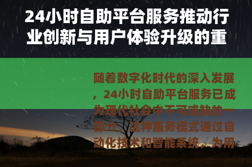 24小时自助平台服务推动行业创新与用户体验升级的重要力量