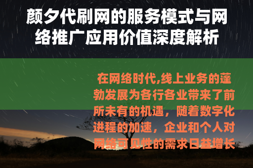 颜夕代刷网的服务模式与网络推广应用价值深度解析