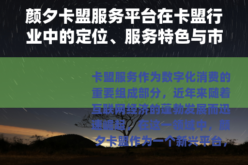 颜夕卡盟服务平台在卡盟行业中的定位、服务特色与市场前景分析