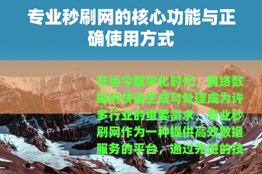 专业秒刷网的核心功能与正确使用方式