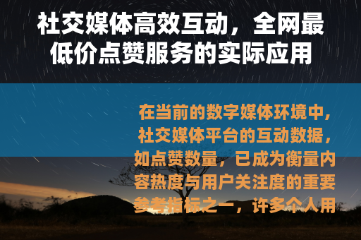 社交媒体高效互动，全网最低价点赞服务的实际应用