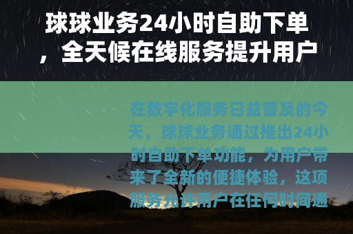 球球业务24小时自助下单，全天候在线服务提升用户体验与效率