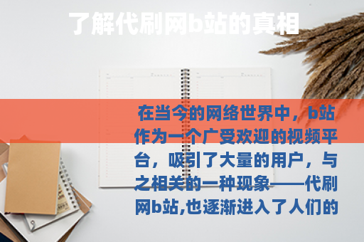 了解代刷网b站的真相