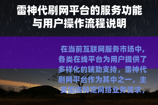 雷神代刷网平台的服务功能与用户操作流程说明