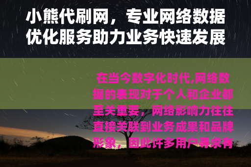 小熊代刷网，专业网络数据优化服务助力业务快速发展与品牌推广