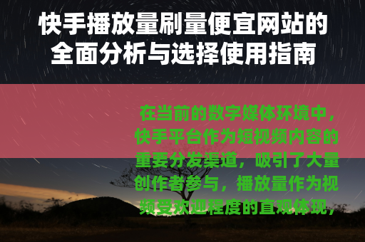 快手播放量刷量便宜网站的全面分析与选择使用指南