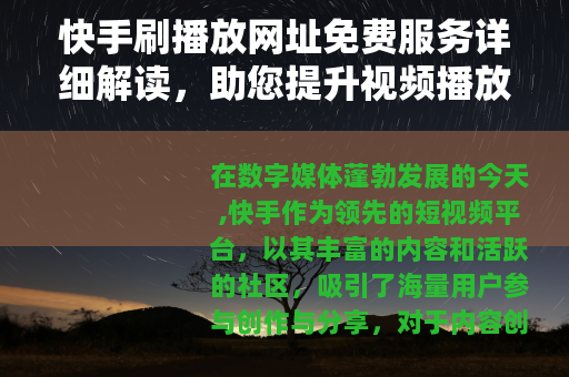 快手刷播放网址免费服务详细解读，助您提升视频播放效率