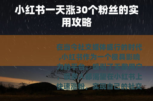 小红书一天涨30个粉丝的实用攻略