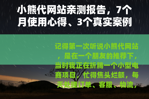 小熊代网站亲测报告，7个月使用心得、3个真实案例与那些踩过的坑