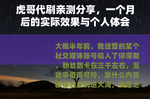 虎哥代刷亲测分享，一个月后的实际效果与个人体会