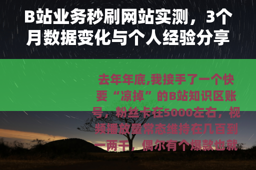 B站业务秒刷网站实测，3个月数据变化与个人经验分享