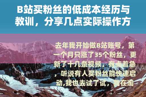 B站买粉丝的低成本经历与教训，分享几点实际操作方法