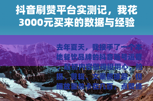 抖音刷赞平台实测记，我花3000元买来的数据与经验分享