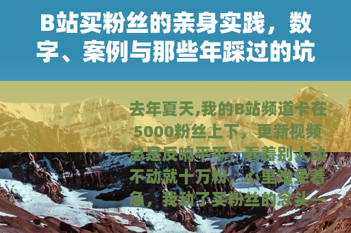 B站买粉丝的亲身实践，数字、案例与那些年踩过的坑