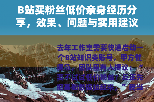 B站买粉丝低价亲身经历分享，效果、问题与实用建议