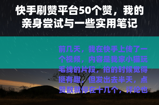 快手刷赞平台50个赞，我的亲身尝试与一些实用笔记