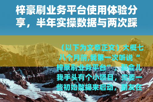 梓豪刷业务平台使用体验分享，半年实操数据与两次踩坑记录