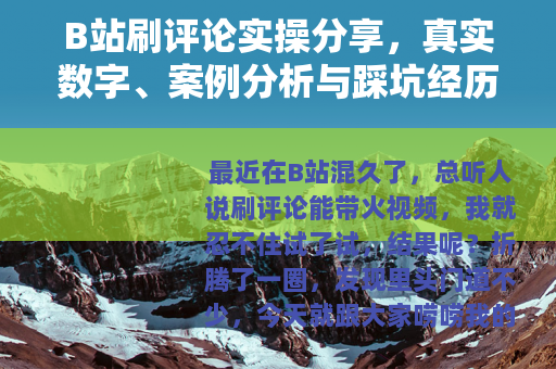 B站刷评论实操分享，真实数字、案例分析与踩坑经历全记录