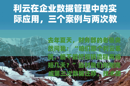 利云在企业数据管理中的实际应用，三个案例与两次教训