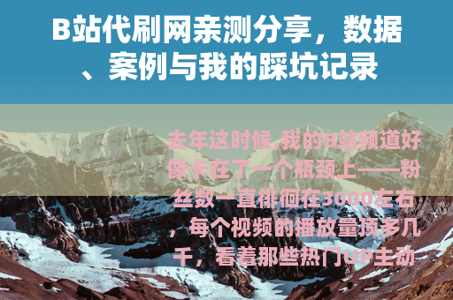 B站代刷网亲测分享，数据、案例与我的踩坑记录