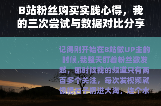 B站粉丝购买实践心得，我的三次尝试与数据对比分享