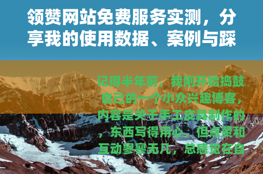 领赞网站免费服务实测，分享我的使用数据、案例与踩坑经验