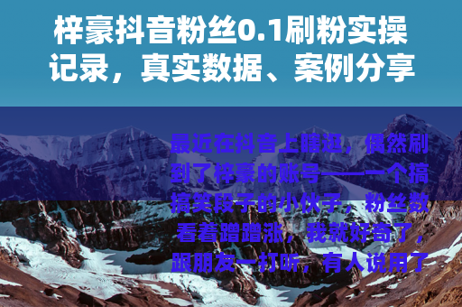 梓豪抖音粉丝0.1刷粉实操记录，真实数据、案例分享与踩坑心得