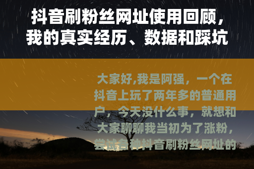 抖音刷粉丝网址使用回顾，我的真实经历、数据和踩坑故事
