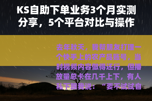 KS自助下单业务3个月实测分享，5个平台对比与操作细节记录