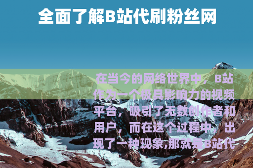 全面了解B站代刷粉丝网