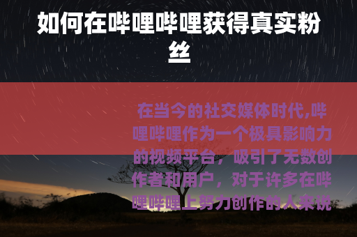 如何在哔哩哔哩获得真实粉丝