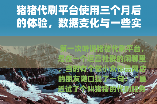 猪猪代刷平台使用三个月后的体验，数据变化与一些实际教训