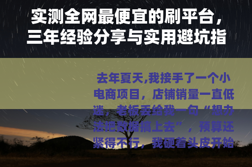 实测全网最便宜的刷平台，三年经验分享与实用避坑指南