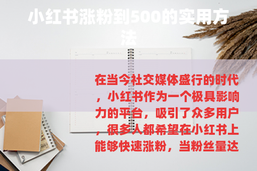 小红书涨粉到500的实用方法