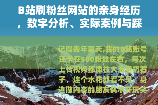 B站刷粉丝网站的亲身经历，数字分析、实际案例与踩坑分享