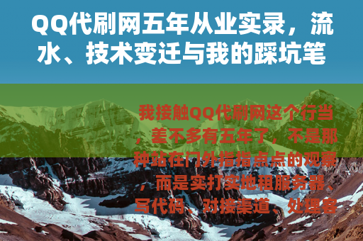 QQ代刷网五年从业实录，流水、技术变迁与我的踩坑笔记